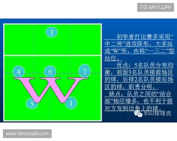 南京排球队的节奏打法深度分析与战术解读