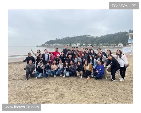 深圳飞盘队团队协作深度解析与其他队伍的比较分析