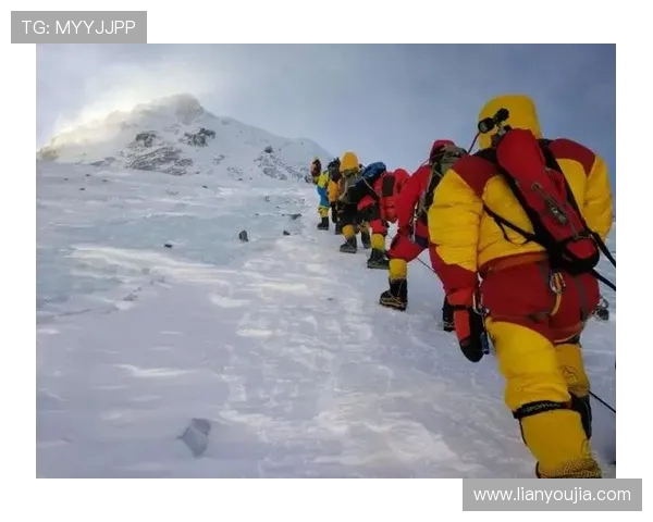 赵军独家分享排球心得与技巧提升之路探索